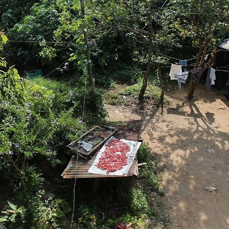 Munnar Kaippalli Budget Homestay Экстерьер фото