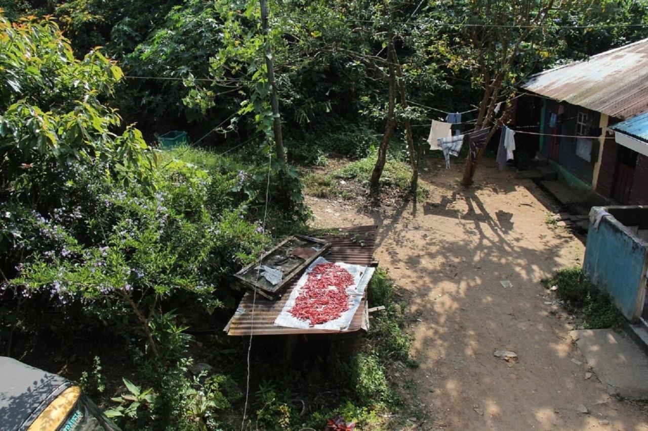 Munnar Kaippalli Budget Homestay Экстерьер фото